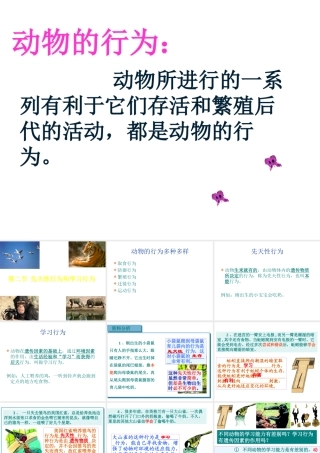 八年级生物上册 第四单元 第二章 第三节 先天性行为和学习行为课件 冀少版-人教级上册生物课件