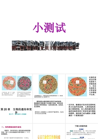 八年级生物上册 第六单元 第六节 遗传病和人类健康课件 北师大版