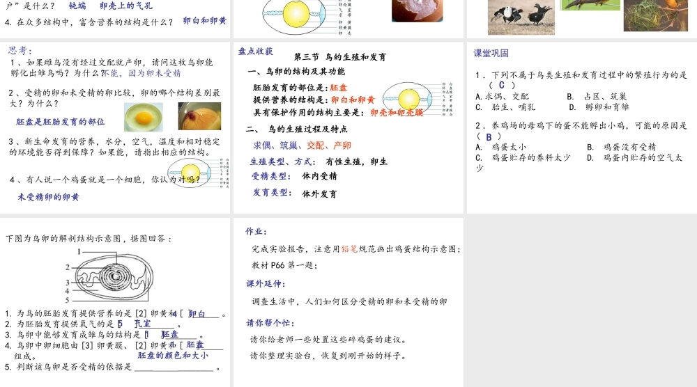 八年级生物上册 第四单元 第二章 第三节鸟的生殖和发育课件 （新版）济南版-（新版）济南版初中八年级上册生物课件