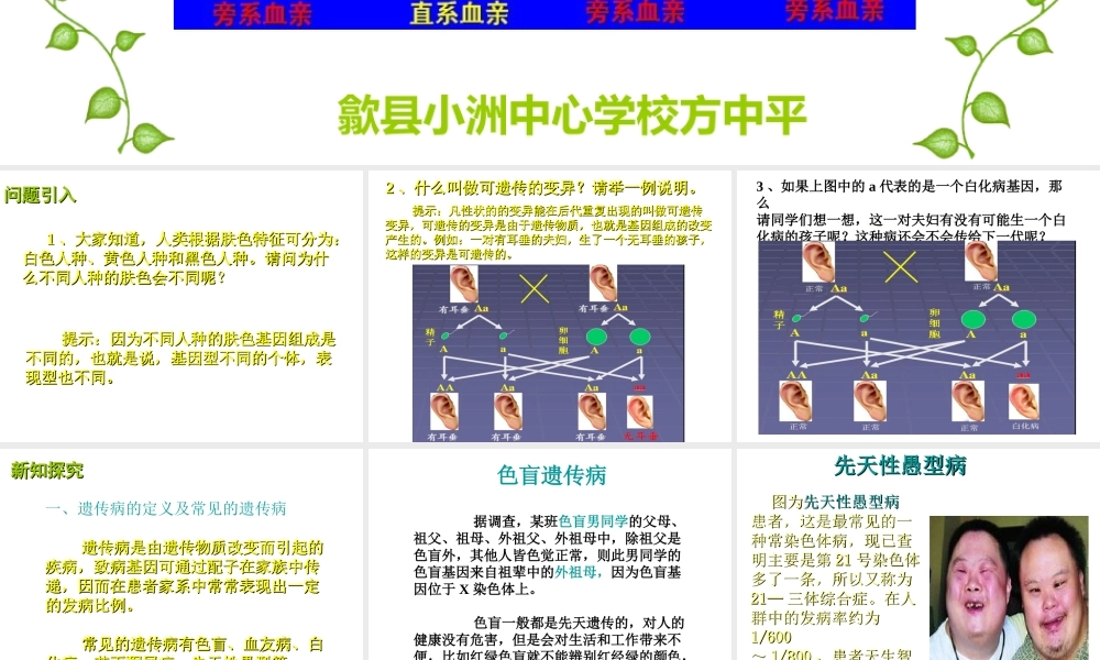 八年级生物上册 第六单元 第六节 遗传病和人类健康课件1 北师大版