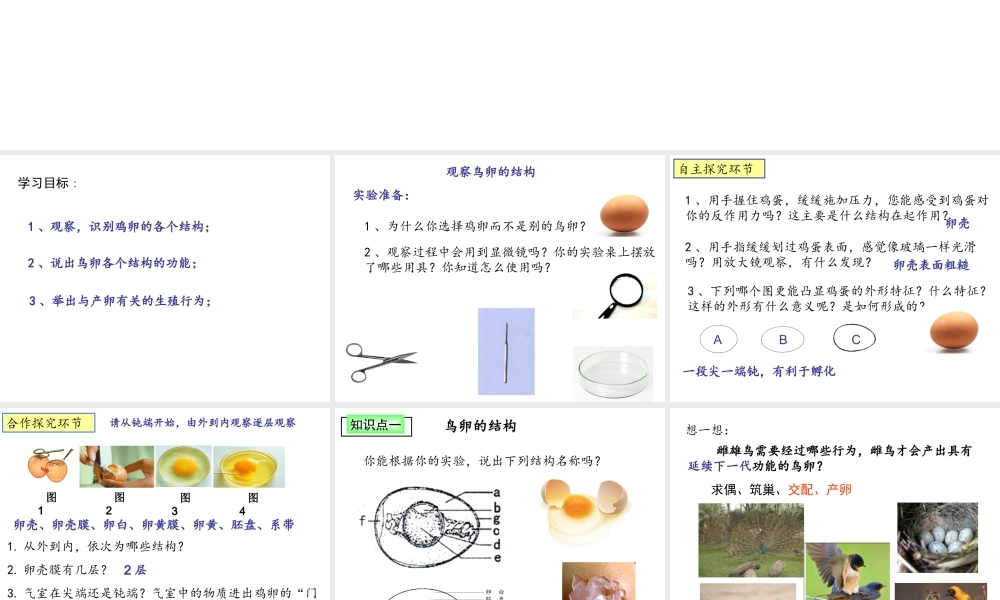 八年级生物上册 第四单元 第二章 第三节鸟的生殖和发育课件 （新版）济南版-（新版）济南级上册生物课件