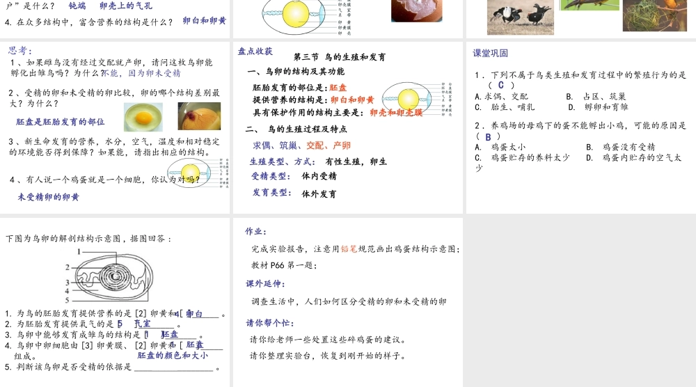 八年级生物上册 第四单元 第二章 第三节鸟的生殖和发育课件 （新版）济南版-（新版）济南级上册生物课件