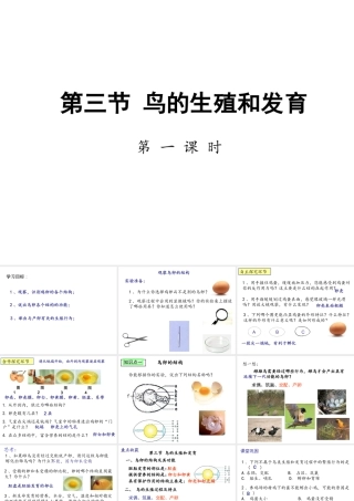 八年级生物上册 第四单元 第二章 第三节鸟的生殖和发育课件 （新版）济南版-（新版）济南级上册生物课件