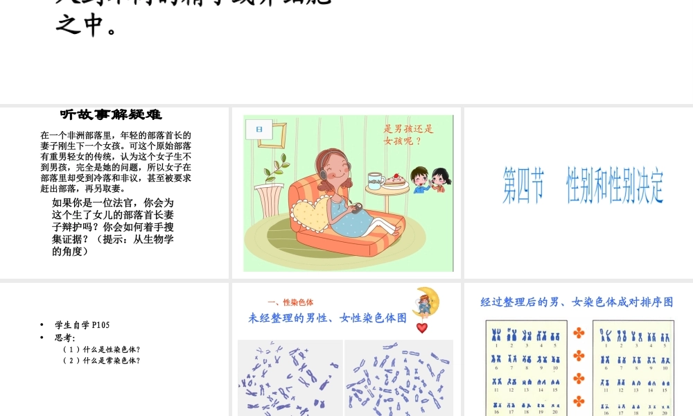 八年级生物上册 第第4节 性别和性别决定课件 （新版）北师大版-（新版）北师大级上册生物课件