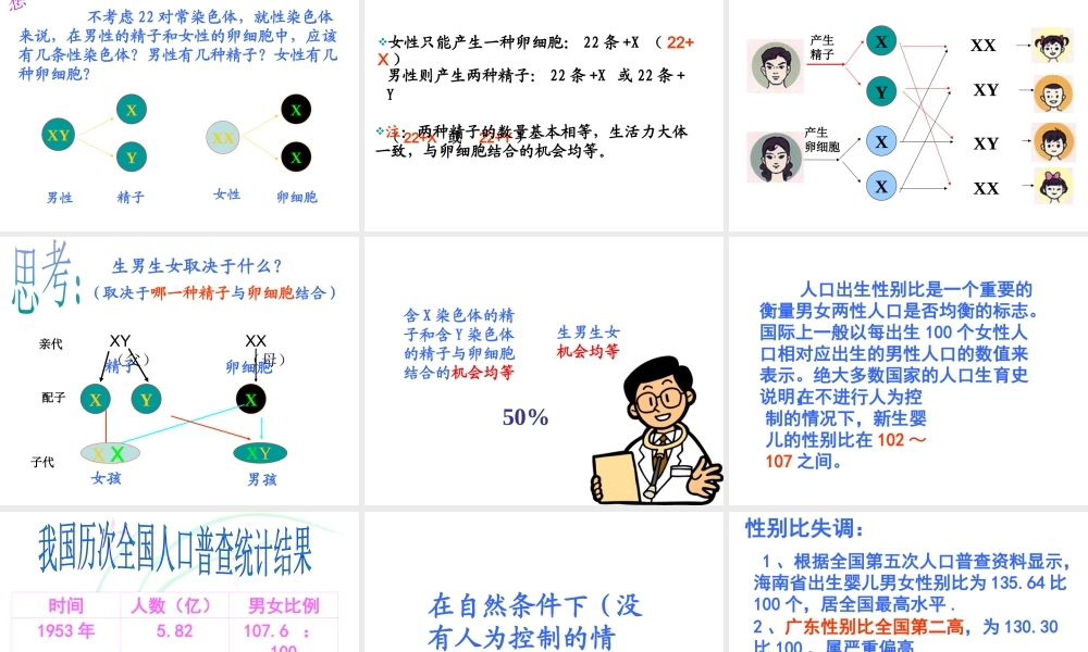 八年级生物上册 第第4节 性别和性别决定课件 （新版）北师大版-（新版）北师大级上册生物课件