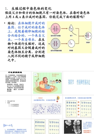 八年级生物上册 第第4节 性别和性别决定课件 （新版）北师大版-（新版）北师大级上册生物课件