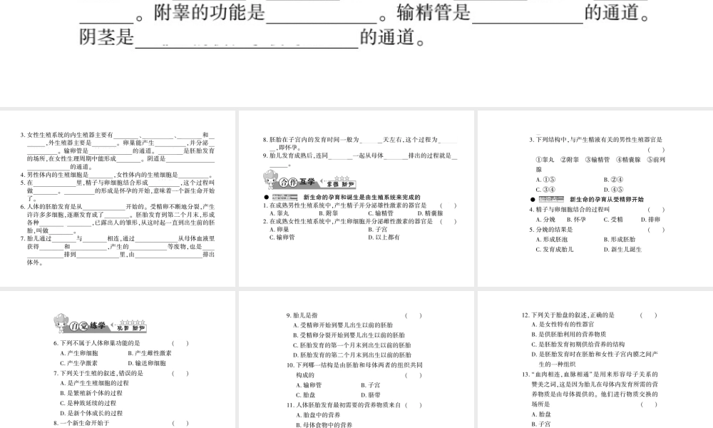 八年级生物上册 第六单元 第19章 第1节 人的生殖和发育习题课件 （新版）北师大版-（新版）北师大版初中八年级上册生物课件