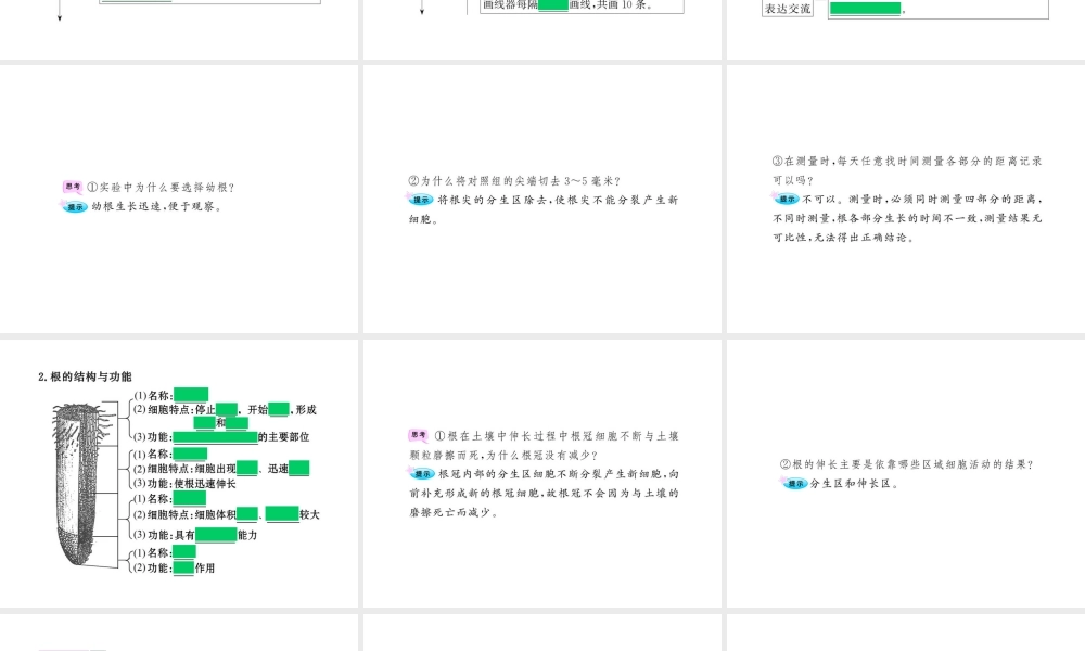 八年级生物上册 第四单元 第二章 第五节 根的结构与功能课件 济南版