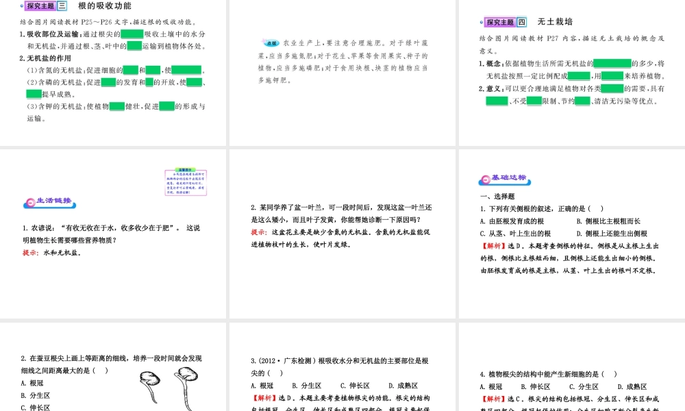 八年级生物上册 第四单元 第二章 第五节 根的结构与功能课件 济南版
