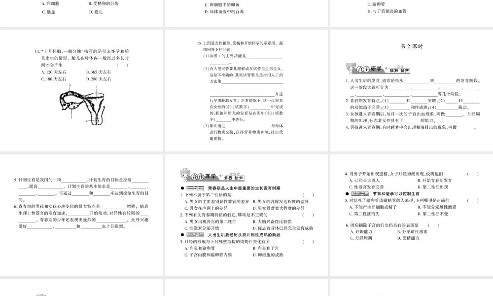 八年级生物上册 第六单元 第19章 第1节 人的生殖和发育习题课件 （新版）北师大版-（新版）北师大级上册生物课件