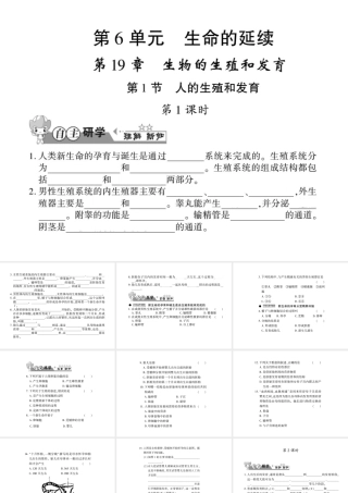 八年级生物上册 第六单元 第19章 第1节 人的生殖和发育习题课件 （新版）北师大版-（新版）北师大级上册生物课件