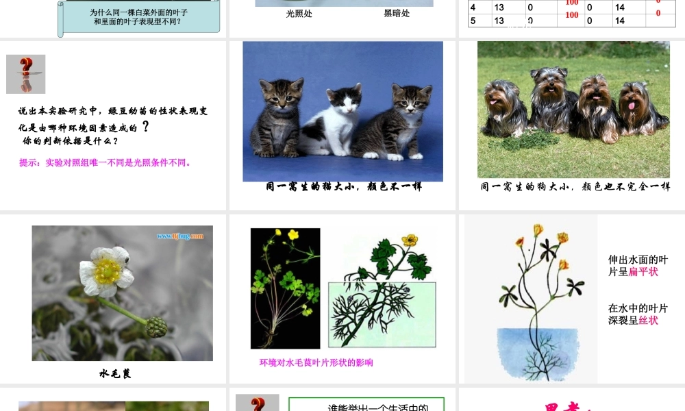 八年级生物上册 第第5节 遗传与环境课件 北师大版-北师大级上册生物课件