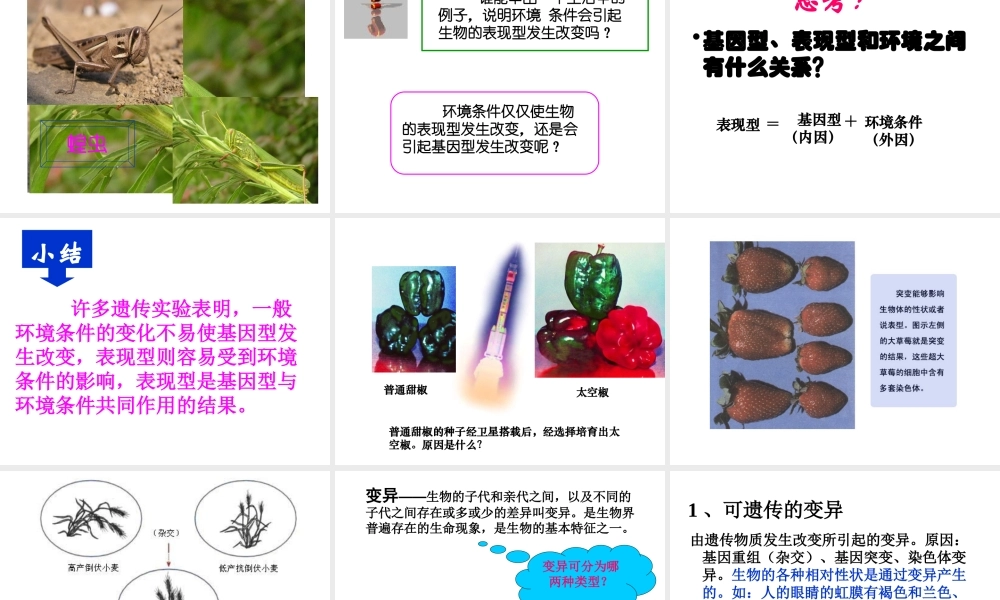 八年级生物上册 第第5节 遗传与环境课件 北师大版-北师大级上册生物课件