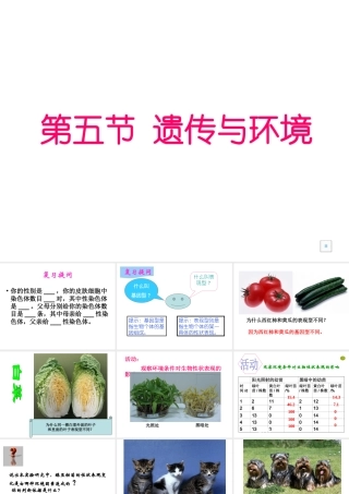 八年级生物上册 第第5节 遗传与环境课件 北师大版-北师大级上册生物课件
