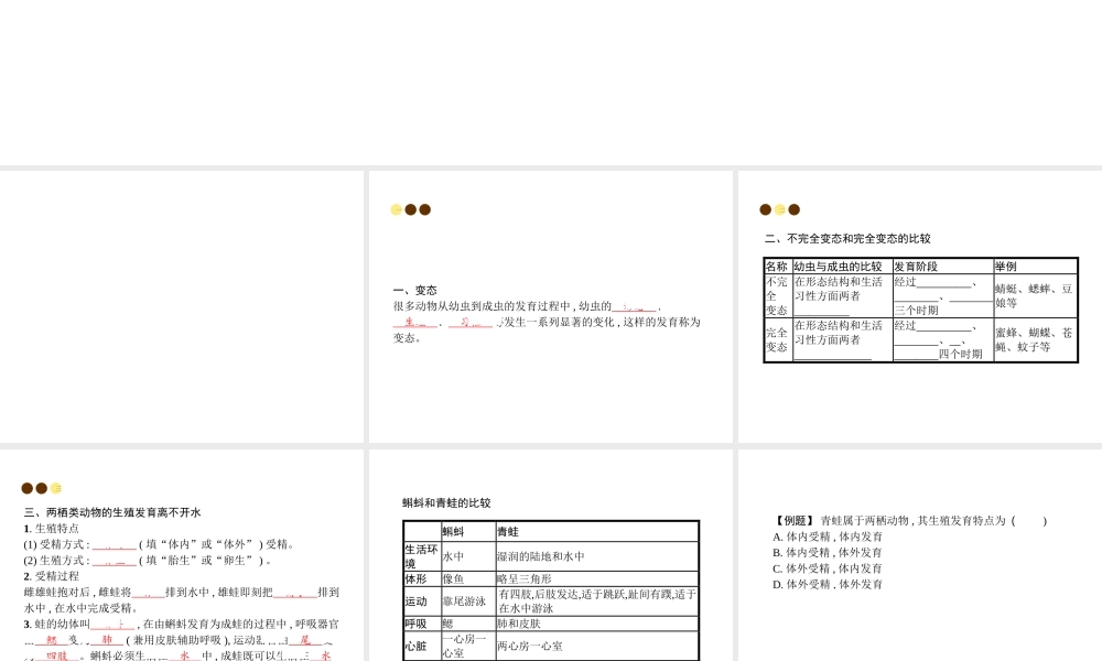 八年级生物上册 第六单元 第19章 第2节 动物的生殖和发育（第1课时 昆虫及两栖类动物的生殖和发育）课件 （新版）北师大版-（新版）北师大版初中八年级上册生物课件