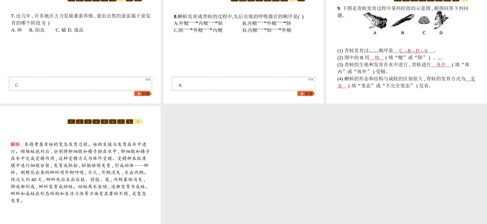 八年级生物上册 第六单元 第19章 第2节 动物的生殖和发育（第1课时 昆虫及两栖类动物的生殖和发育）课件 （新版）北师大版-（新版）北师大版初中八年级上册生物课件