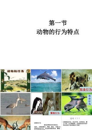 八年级生物上册 第四单元 第二章 第一节 动物行为的特点课件 冀少版-人教版初中八年级上册生物课件
