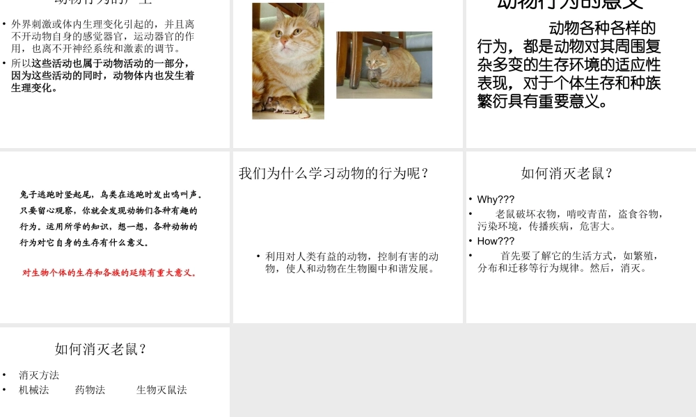 八年级生物上册 第四单元 第二章 第一节 动物行为的特点课件 冀少版-人教级上册生物课件