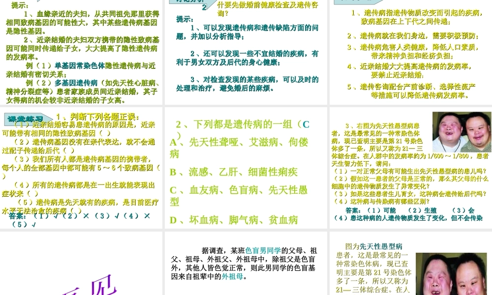 八年级生物上册 第第6节 遗传病和人类健康课件 北师大版-北师大级上册生物课件