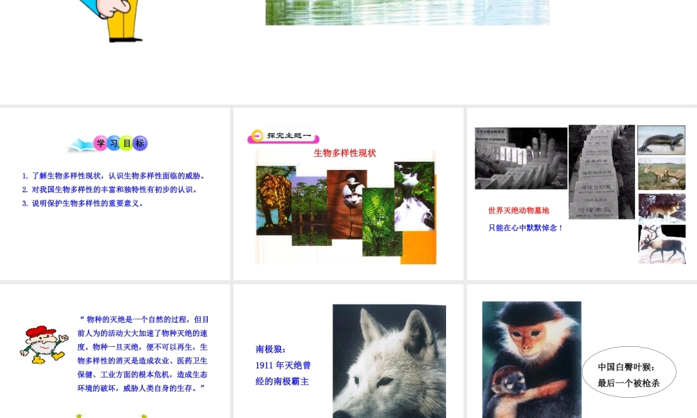 八年级生物上册 第六单元 第三章 保护生物的多样性课件 新人教版