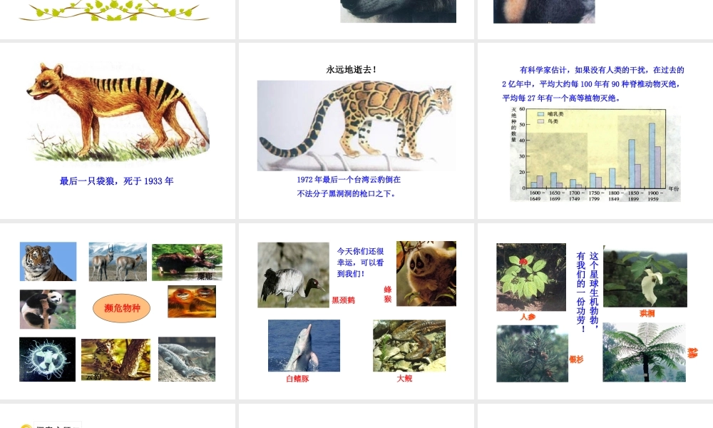 八年级生物上册 第六单元 第三章 保护生物的多样性课件 新人教版