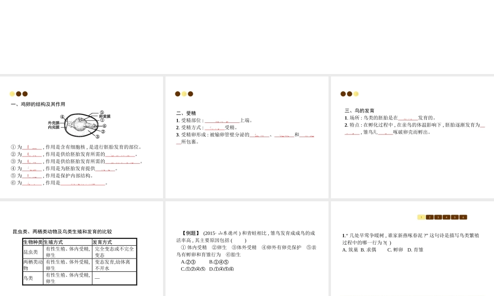 八年级生物上册 第六单元 第19章 第2节 动物的生殖和发育（第2课时 鸟类的繁殖行为复杂）课件 （新版）北师大版-（新版）北师大版初中八年级上册生物课件