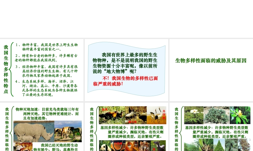 八年级生物上册 第六单元 第三章 保护生物的多样性课件1 新人教版