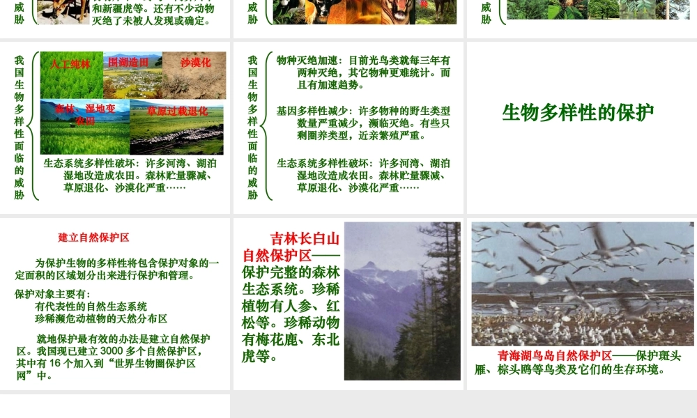 八年级生物上册 第六单元 第三章 保护生物的多样性课件1 新人教版