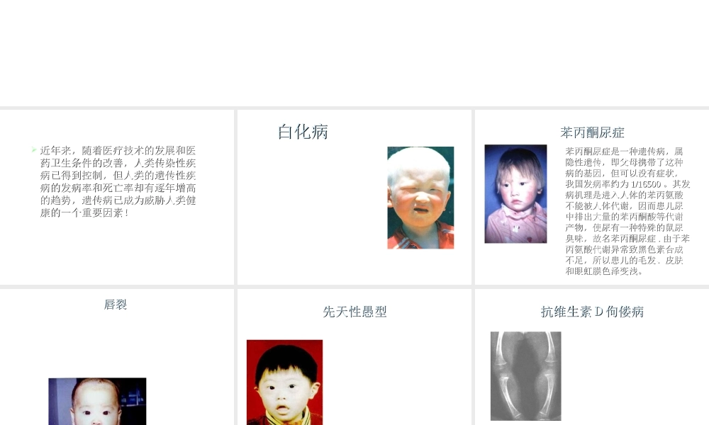 八年级生物上册 第第6节 遗传病和人类健康课件2 北师大版-北师大级上册生物课件