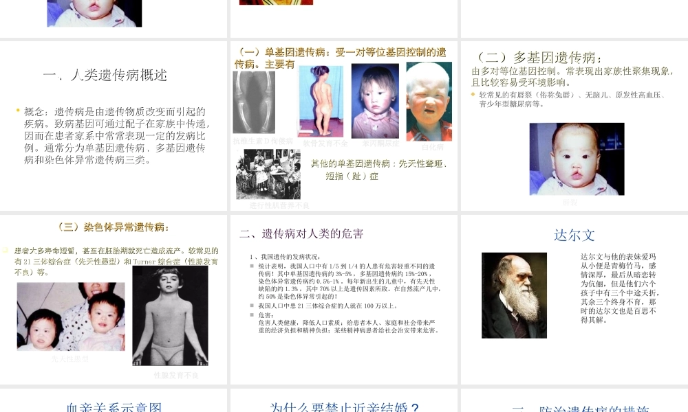 八年级生物上册 第第6节 遗传病和人类健康课件2 北师大版-北师大级上册生物课件