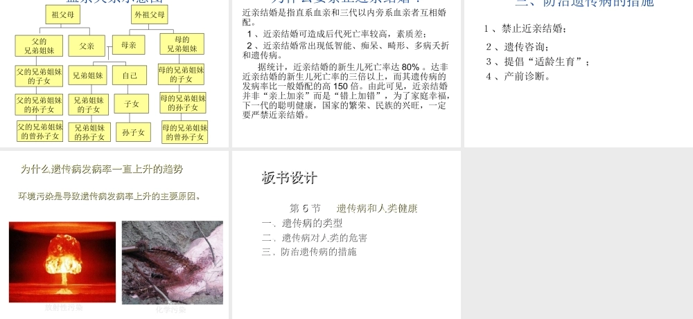 八年级生物上册 第第6节 遗传病和人类健康课件2 北师大版-北师大级上册生物课件
