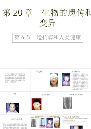 八年级生物上册 第第6节 遗传病和人类健康课件2 北师大版-北师大级上册生物课件