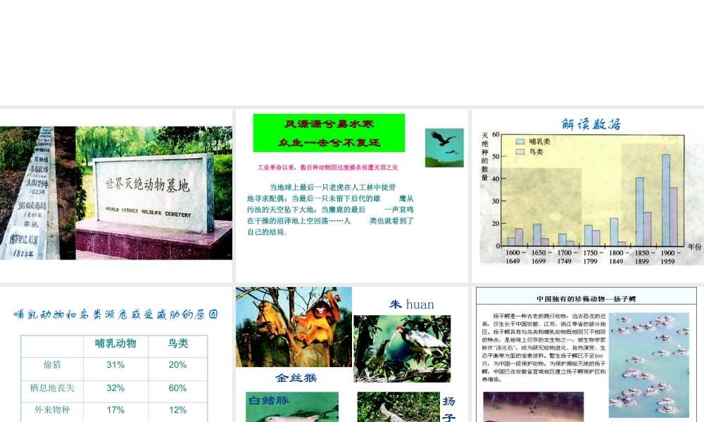 八年级生物上册 第六单元 第三章 保护生物的多样性课件2 新人教版