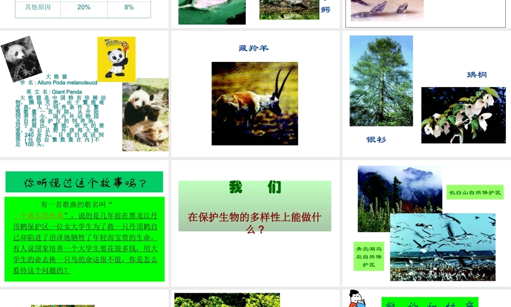 八年级生物上册 第六单元 第三章 保护生物的多样性课件2 新人教版