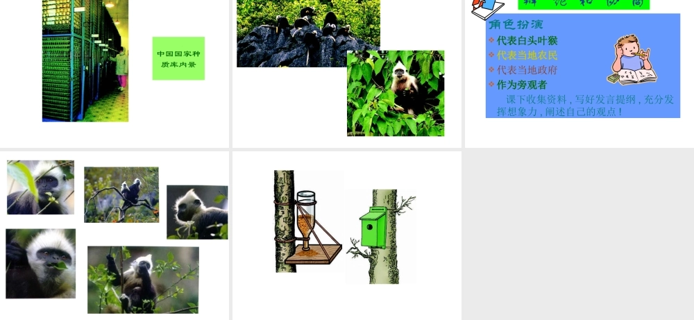 八年级生物上册 第六单元 第三章 保护生物的多样性课件2 新人教版