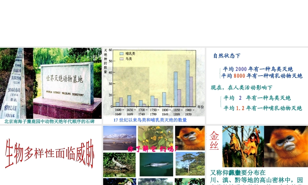 八年级生物上册 第六单元 第三章 保护生物的多样性课件3 新人教版