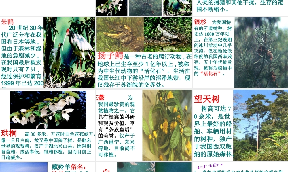 八年级生物上册 第六单元 第三章 保护生物的多样性课件3 新人教版
