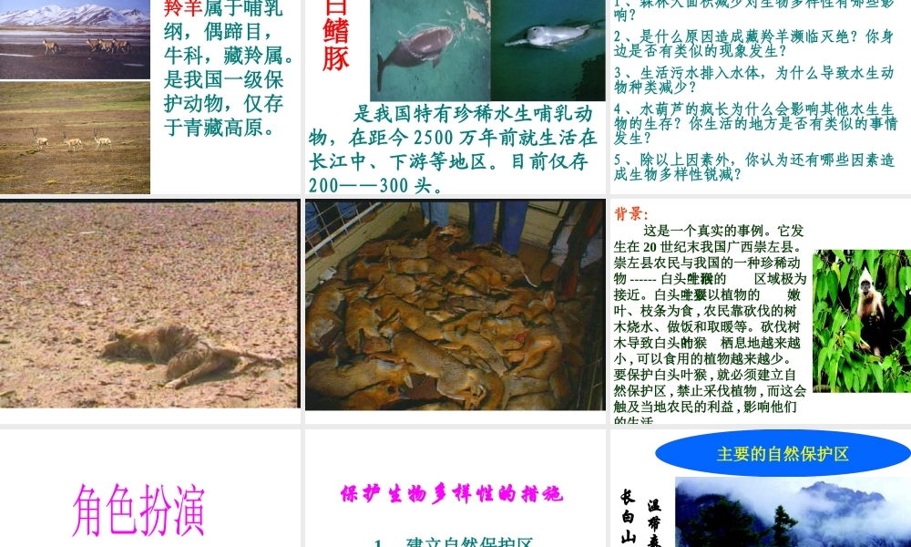 八年级生物上册 第六单元 第三章 保护生物的多样性课件3 新人教版