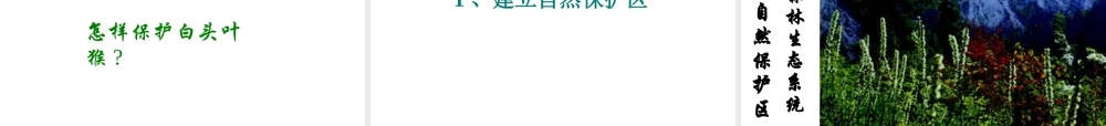 八年级生物上册 第六单元 第三章 保护生物的多样性课件3 新人教版