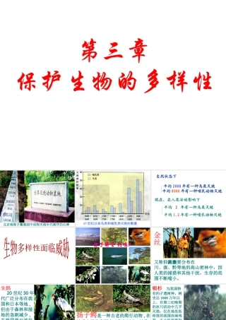 八年级生物上册 第六单元 第三章 保护生物的多样性课件3 新人教版