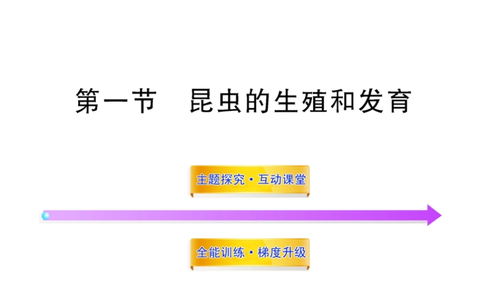 八年级生物上册 第四单元 第二章 第一节 昆虫的生殖和发育课件 济南版
