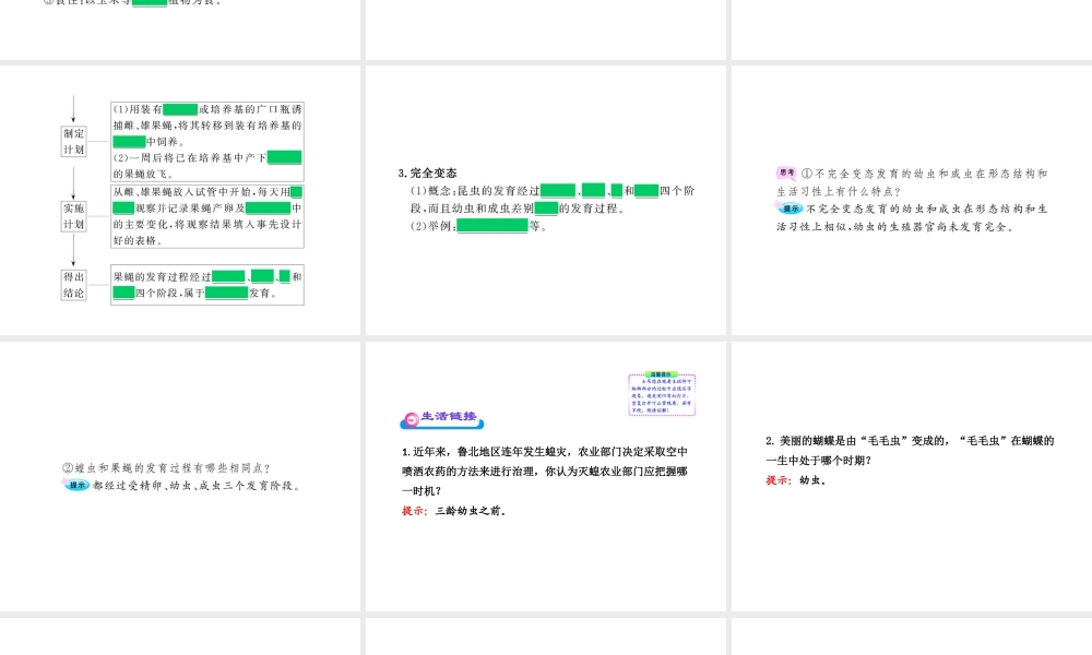 八年级生物上册 第四单元 第二章 第一节 昆虫的生殖和发育课件 济南版