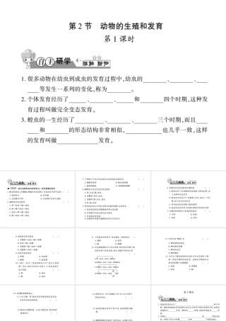 八年级生物上册 第六单元 第19章 第2节 动物的生殖和发育习题课件 （新版）北师大版-（新版）北师大版初中八年级上册生物课件