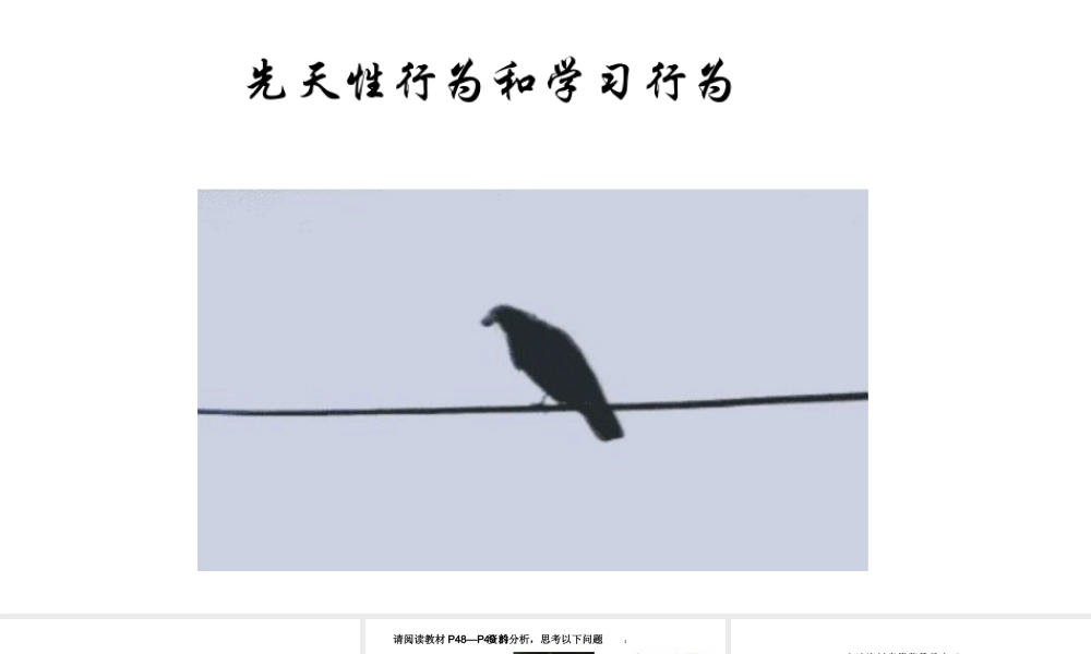 八年级生物上册 第五单元 第二章 第二节《先天性行为和学习行为》课件 （新版）新人教版-（新版）新人教级上册生物课件