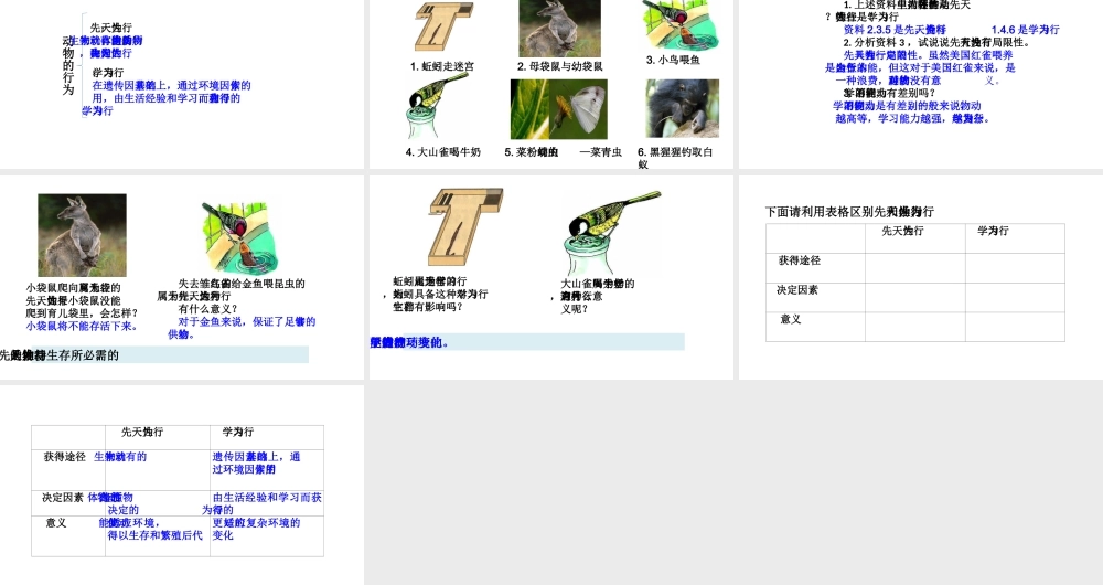 八年级生物上册 第五单元 第二章 第二节《先天性行为和学习行为》课件 （新版）新人教版-（新版）新人教级上册生物课件