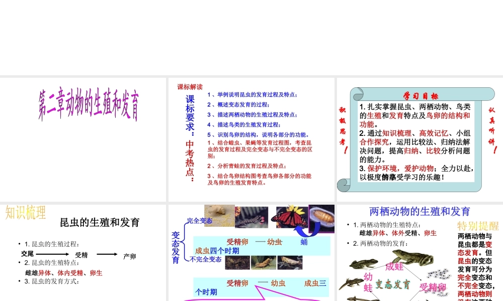 八年级生物上册 第四单元 第二章 动物的生殖和发育复习课件 （新版）济南版