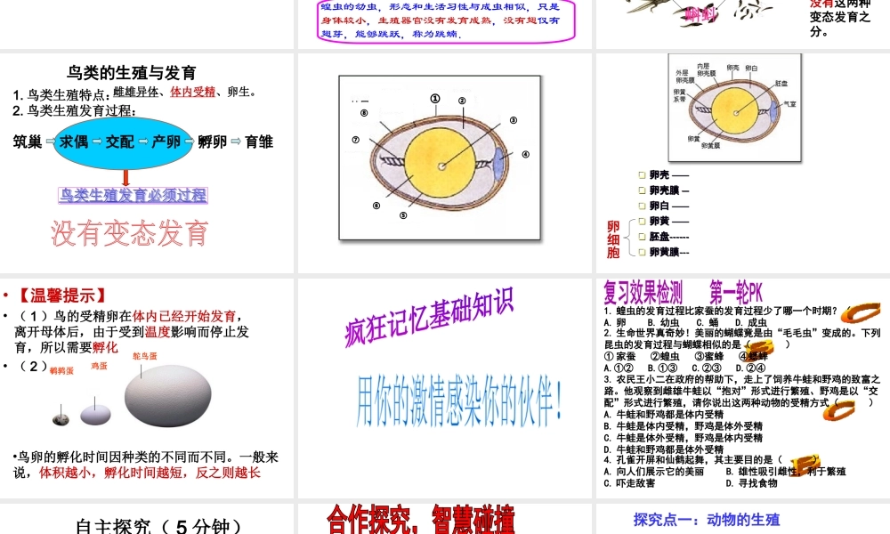 八年级生物上册 第四单元 第二章 动物的生殖和发育复习课件 （新版）济南版