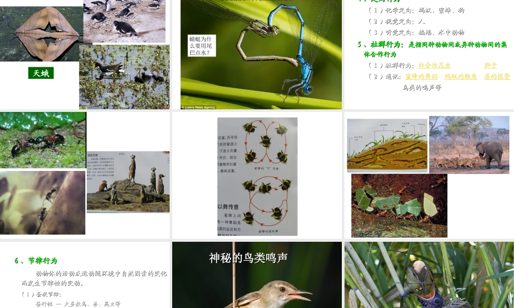 八年级生物上册 第四单元 第二章 动物行为课件 冀教版-冀教版初中八年级上册生物课件