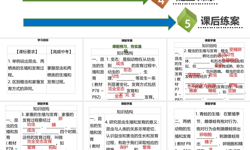 八年级生物上册 第六单元 第19章 第2节 动物的生殖和生育（第1课时 昆虫、两栖类动物的生殖和发育）习题课件 （新版）北师大版-（新版）北师大级上册生物课件
