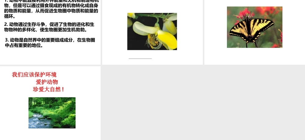 八年级生物上册 第四单元第七章动物在生物圈中的作用课件2 冀教版